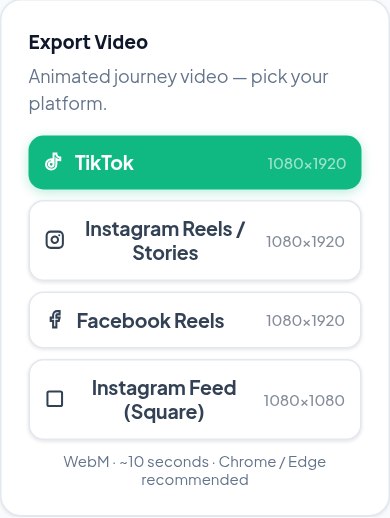 Export video — TikTok, Reels/Stories, Facebook Reels, square